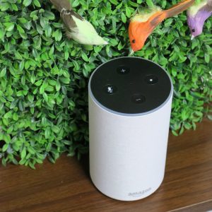 Amazon Echo und Alexa für Kinder