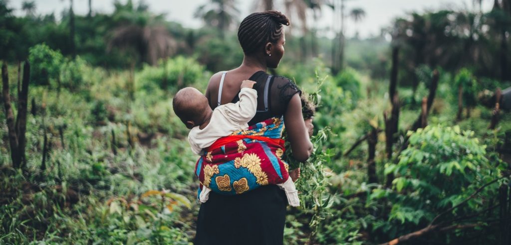 die beste Babytrage Kaufratgeber