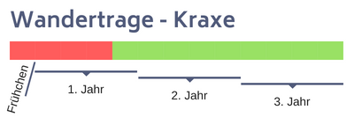 Wandertrage - ab wann