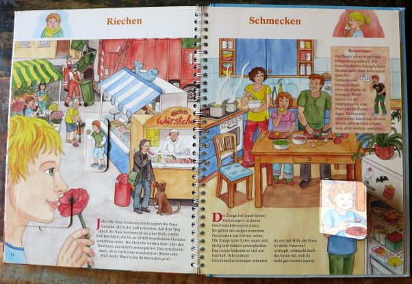 Besserwisser Unser Körper