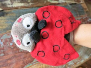 Mein kleiner bunter Krabbelkäfer