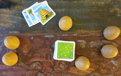 Honigbienchen ab 4 Jahren